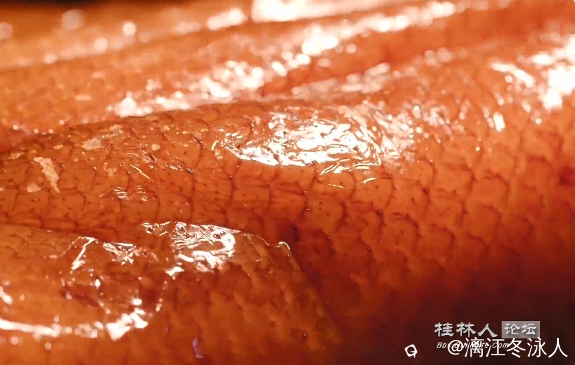 搜狗高速浏览器截图20250117164622.png