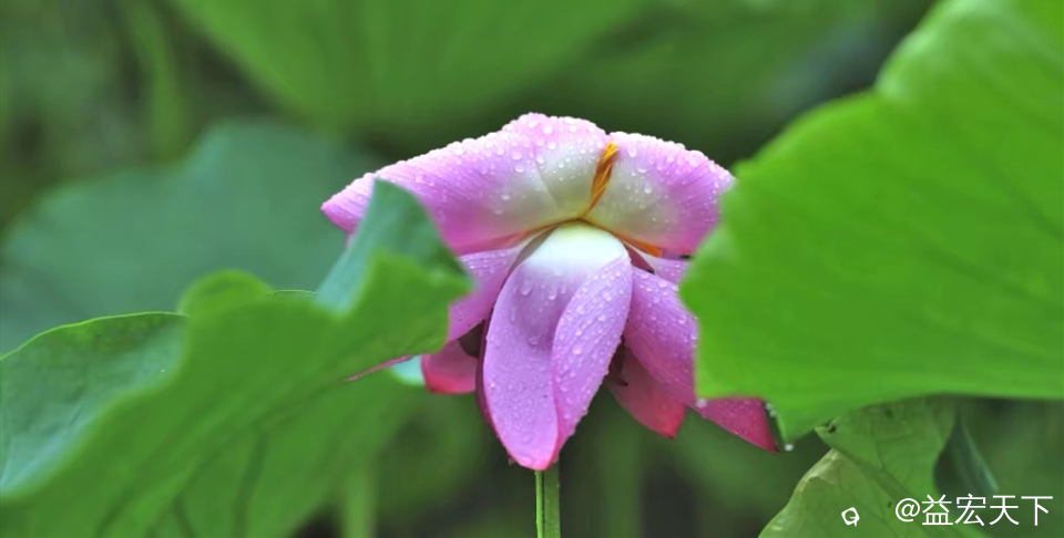 5CE2999AB5DB0330F65AF4153AAAEEE6.png