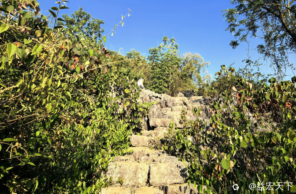 IMG_20261025_164645.jpg