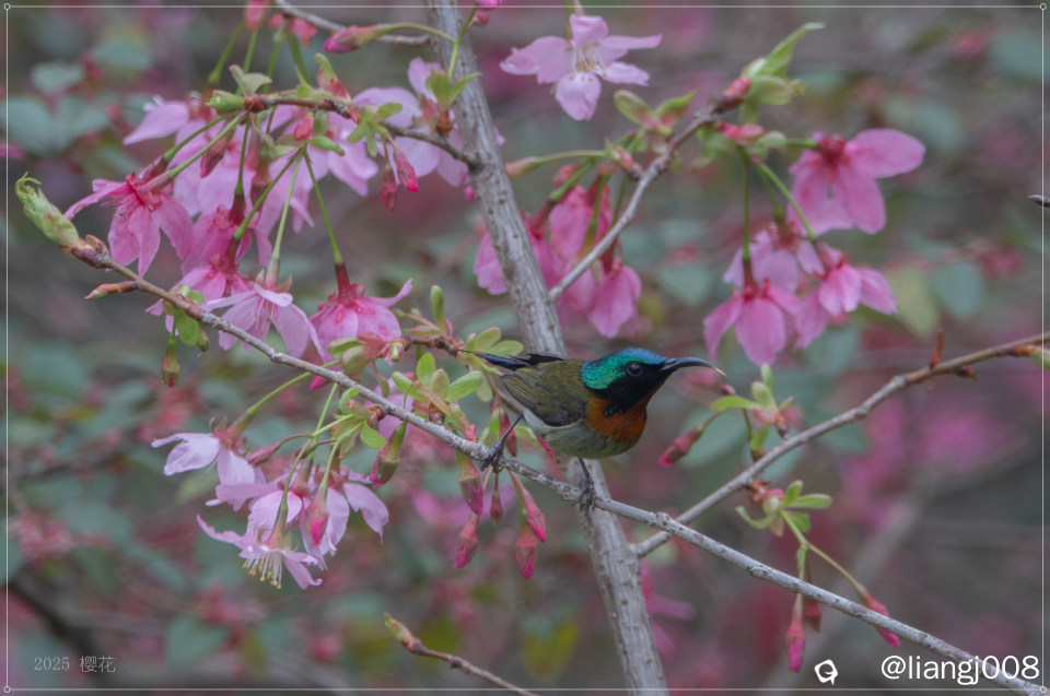 DSC07240_副本.jpg