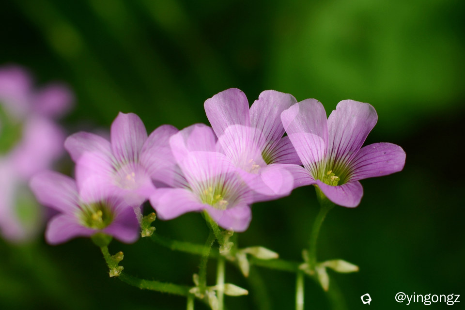 DSC_5879_副本.jpg