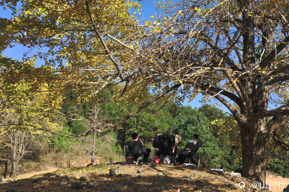 DSC_3896_1.jpg