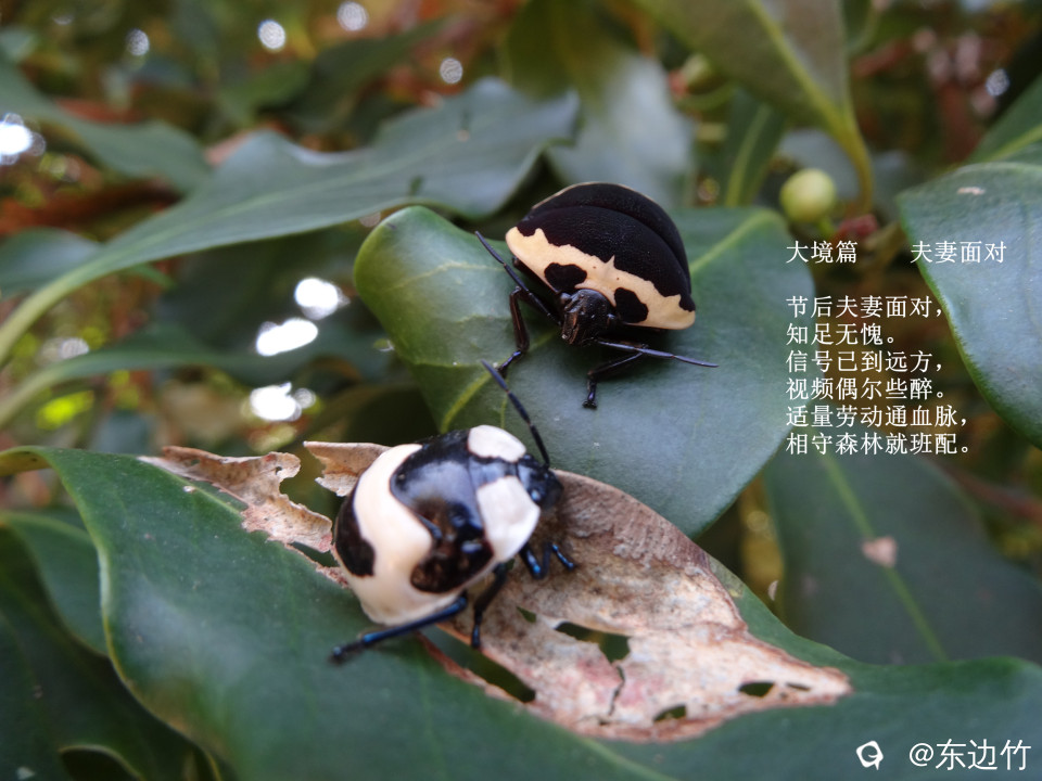 493_副本.jpg