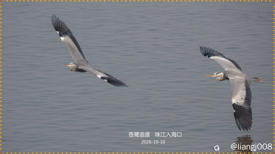 DSC018241_副本_副本.jpg