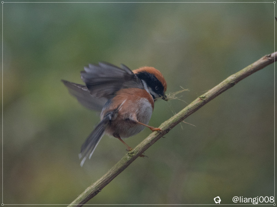 DSC070531_副本.jpg