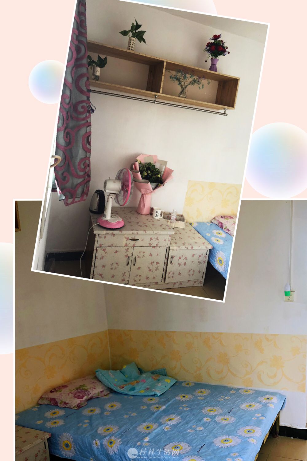 �콭�� ����Сѧ ���ֶණ������� ���ǹ�԰ ��¡԰���ݳ���