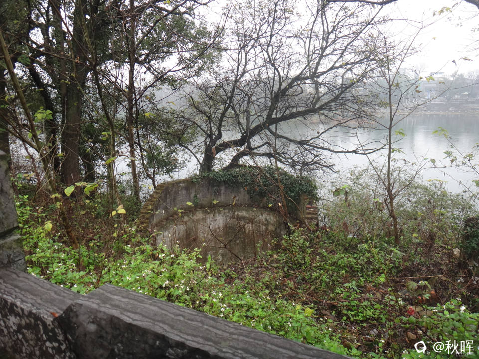 DSC07330.JPG