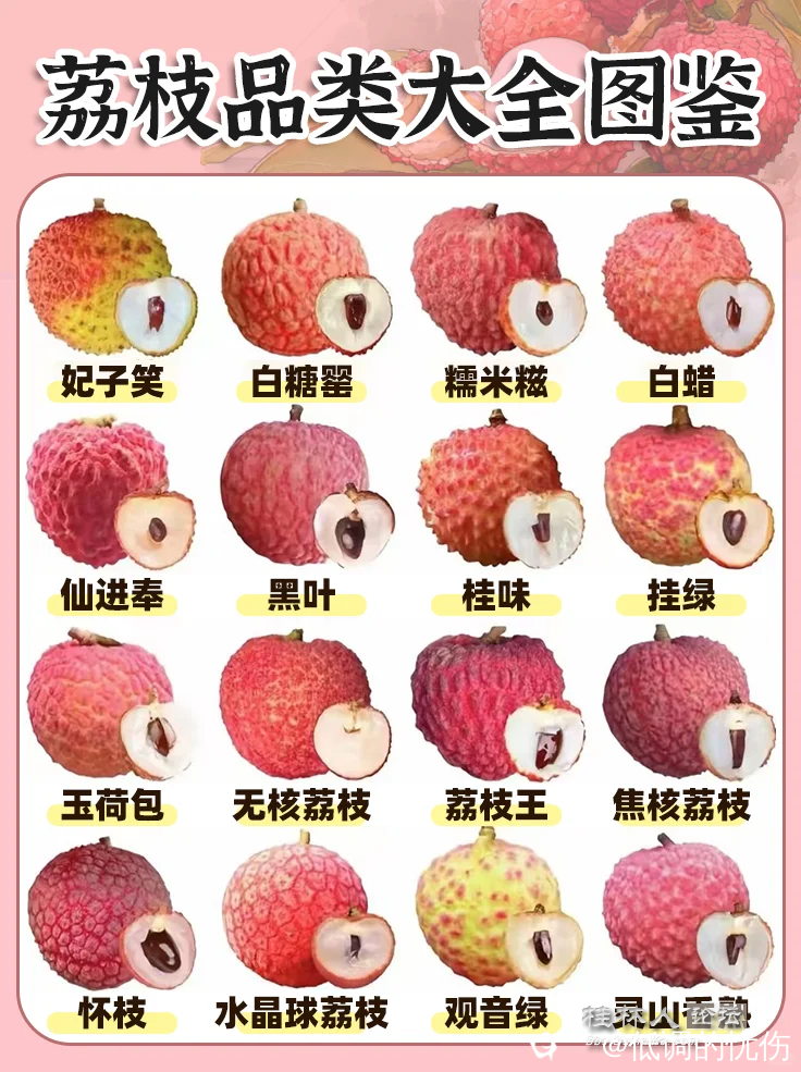 截图202506271713592480.png