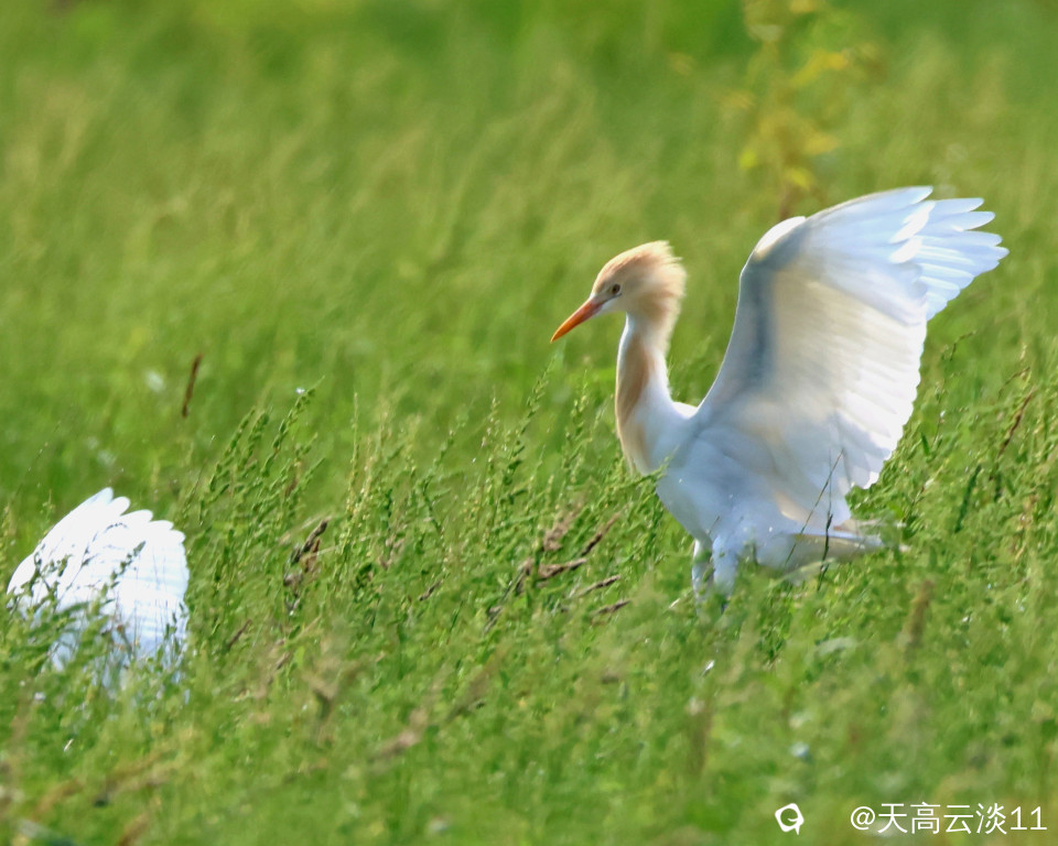 5D2A5817_副本.jpg