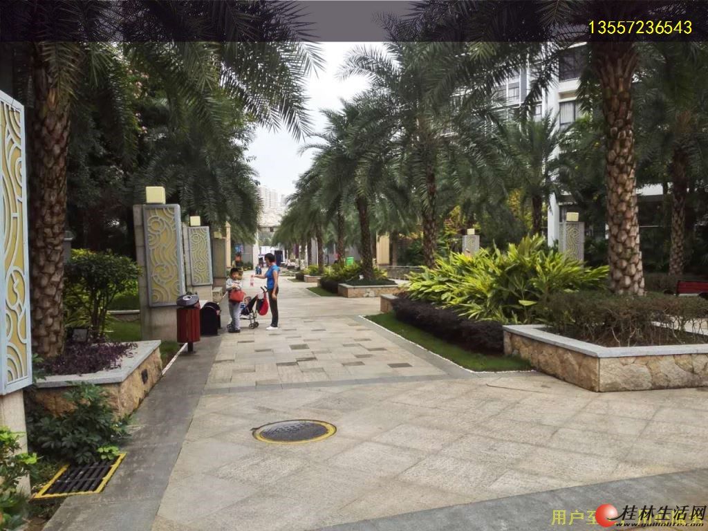 ���Ⱞ������321��װ