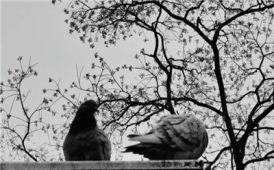 20260212，拍照学练