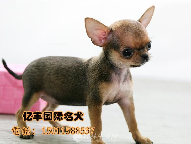 ���������޶���Ǯ ���ּ�����������