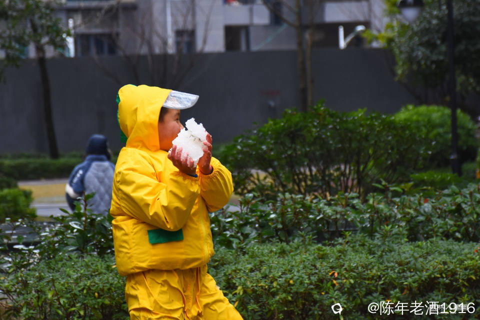 DSC_1939-01_副本.jpg