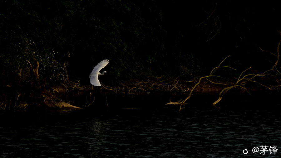 2-DSCF3836.jpg