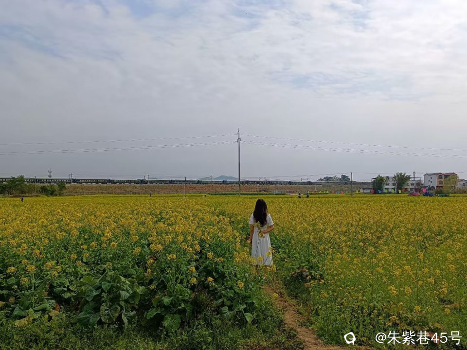 Image_1708787130797.jpg