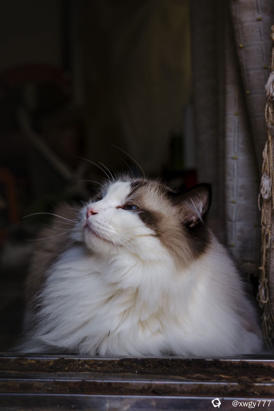 6c3ec0dd-1f09-9b19-3250-c0739b150c1a.jpg