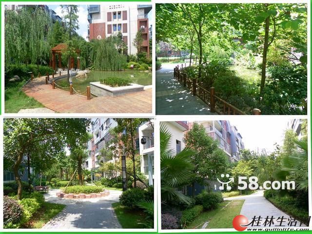 S�ٹ��� ������С�� 3��2��2�� ��������̨ ��ˮδס����52��