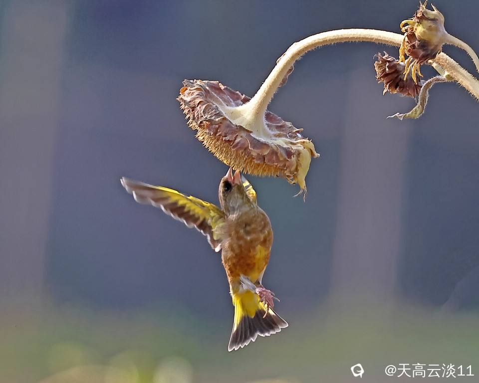 5D2A1877_副本.jpg