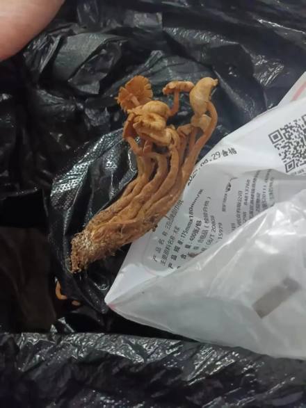 痛心！3人不幸死亡……紧急提醒→