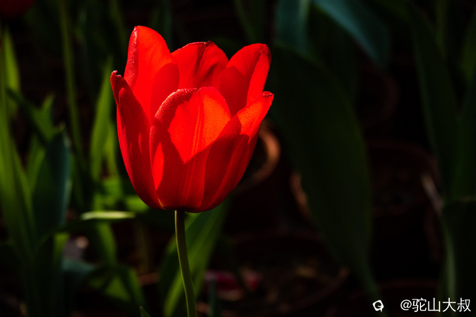 DSC05128-0 - 副本.jpg