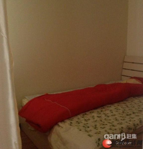 T�����ø���һ�š���װ1�� �ҵ�Ҿ���ȫ 40��ֵ����