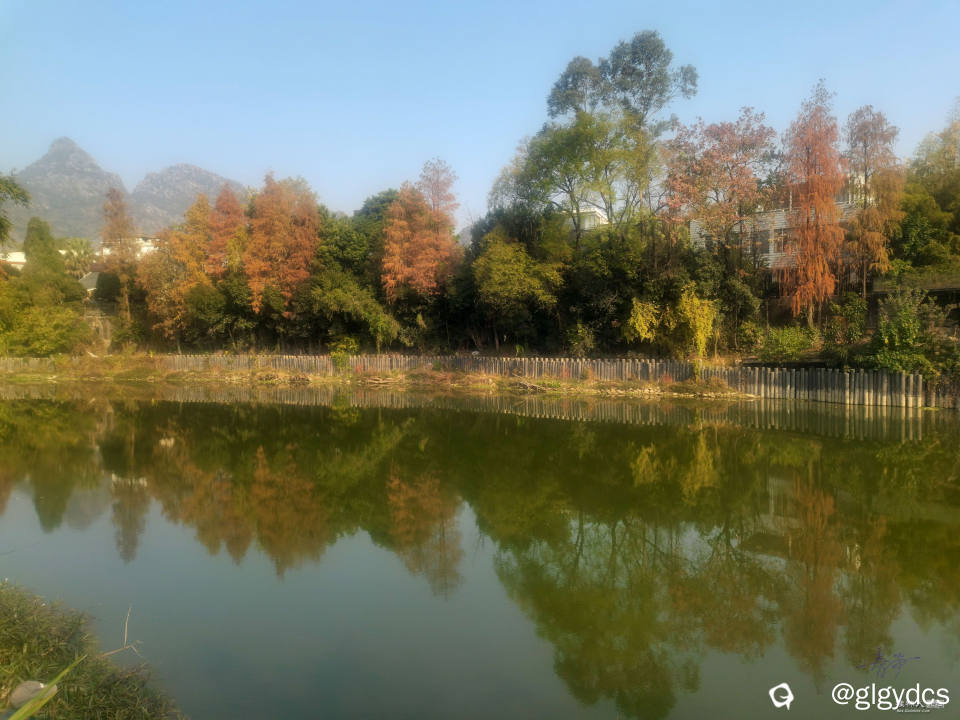 IMG_20241220_104959_副本.jpg
