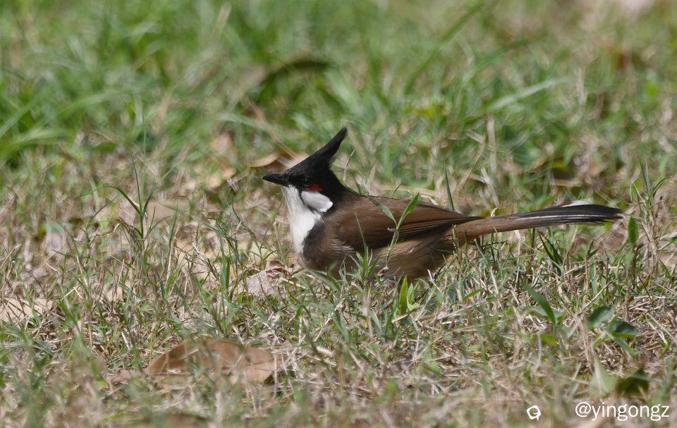 DSC_3582_副本.jpg