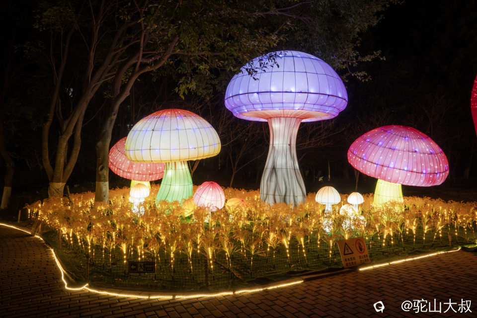 DSC04929-0 - 副本.jpg