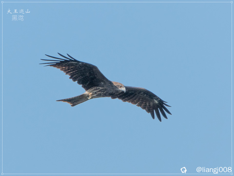 DSC06287_副本.jpg
