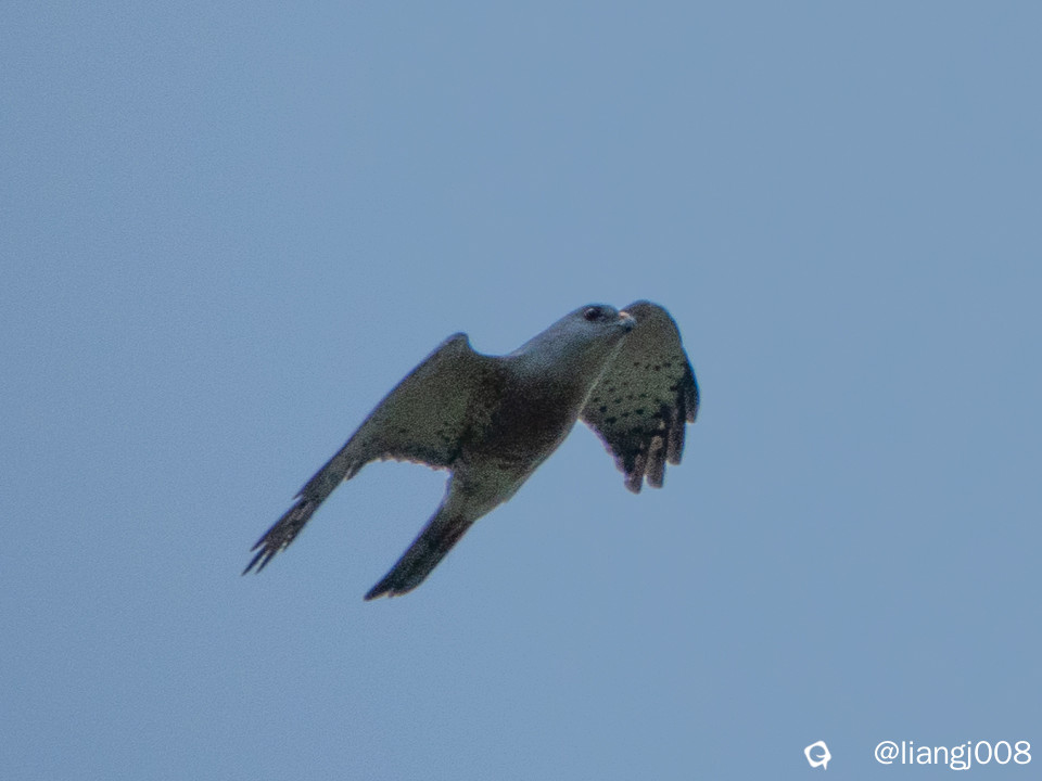 DSC00656_副本.jpg