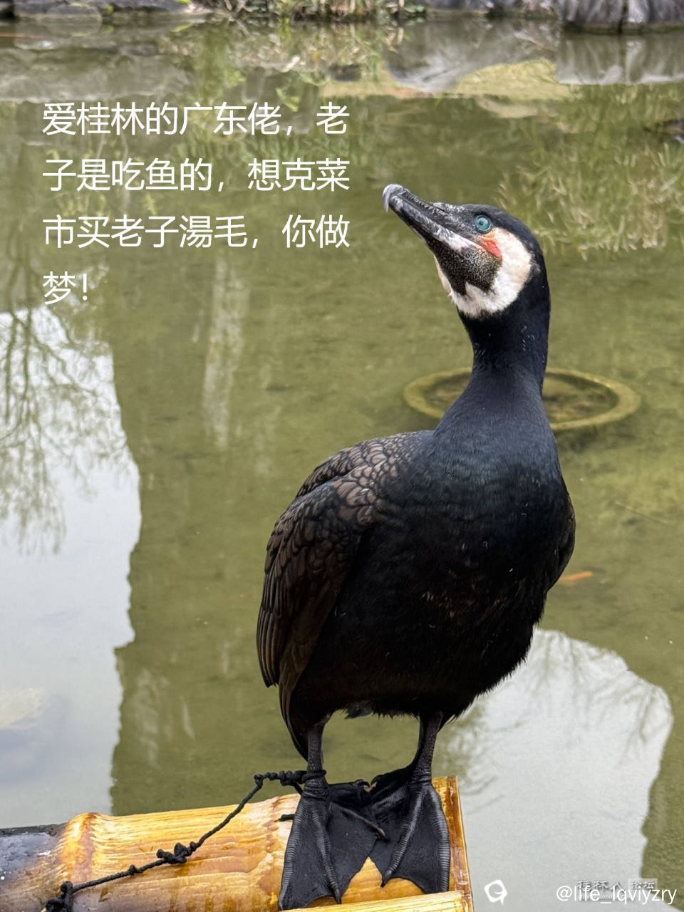 9ddb6623-dd62-eee4-ca66-a78948c4b134.jpg