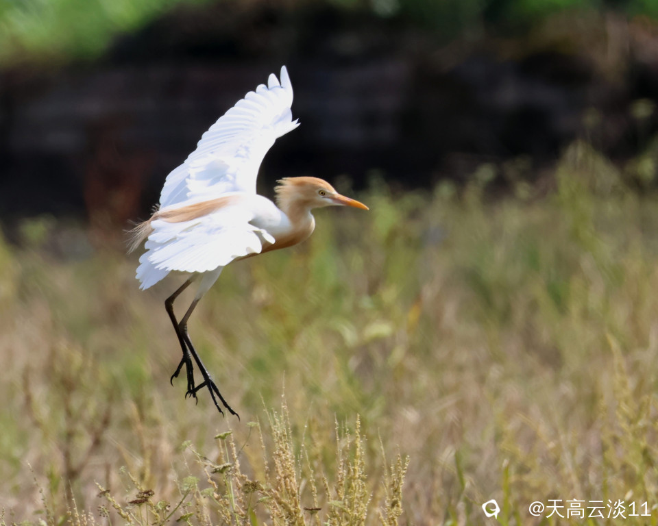 5D2A5746_副本.jpg