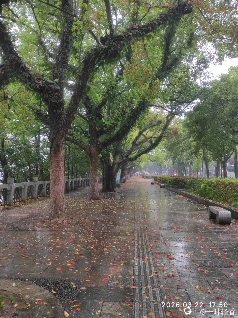 微信图片_20260324222615_1379_2.jpg