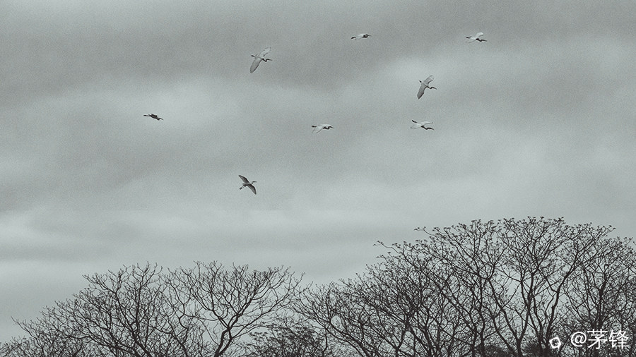 2-DSCF4576.jpg