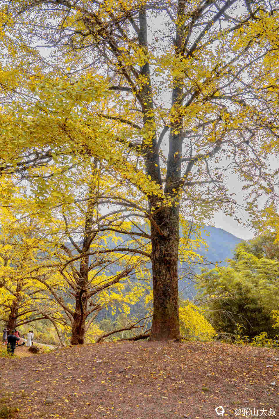 DSC04384-1 - 副本.jpg