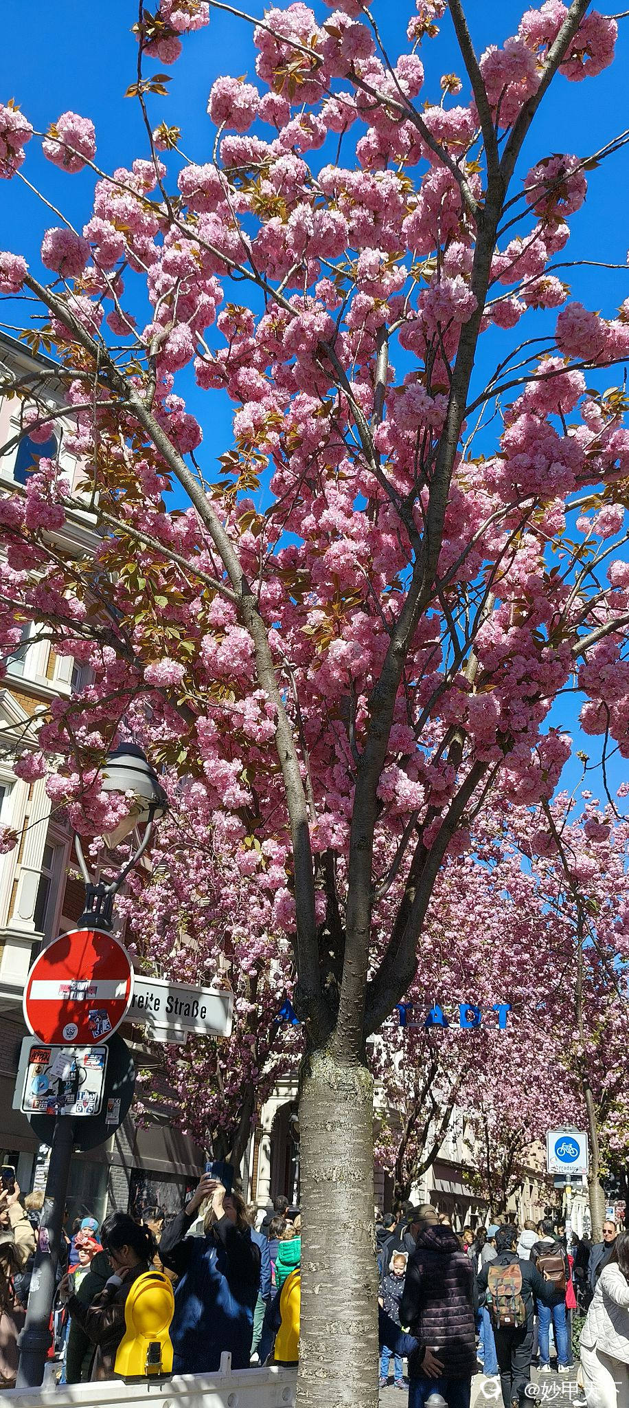 IMG20250406123823 (2).jpg