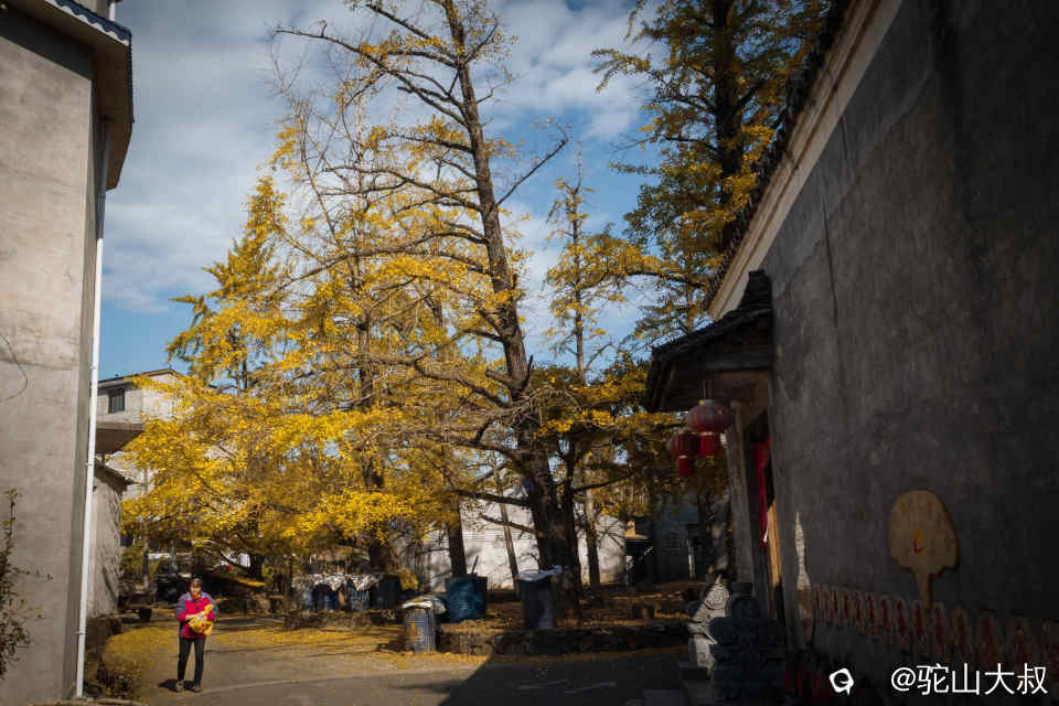 DSC04338-0 - 副本.jpg