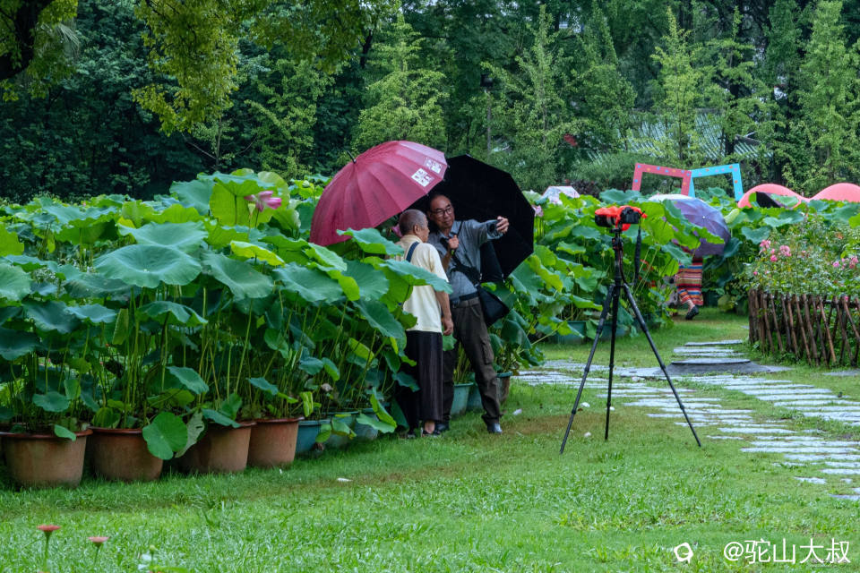 DSC09675-0_副本.jpg