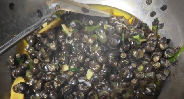 龍?zhí)ь^日煮食螺