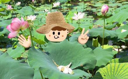 演波村夏日，比宮崎駿的畫更純凈的風(fēng)景