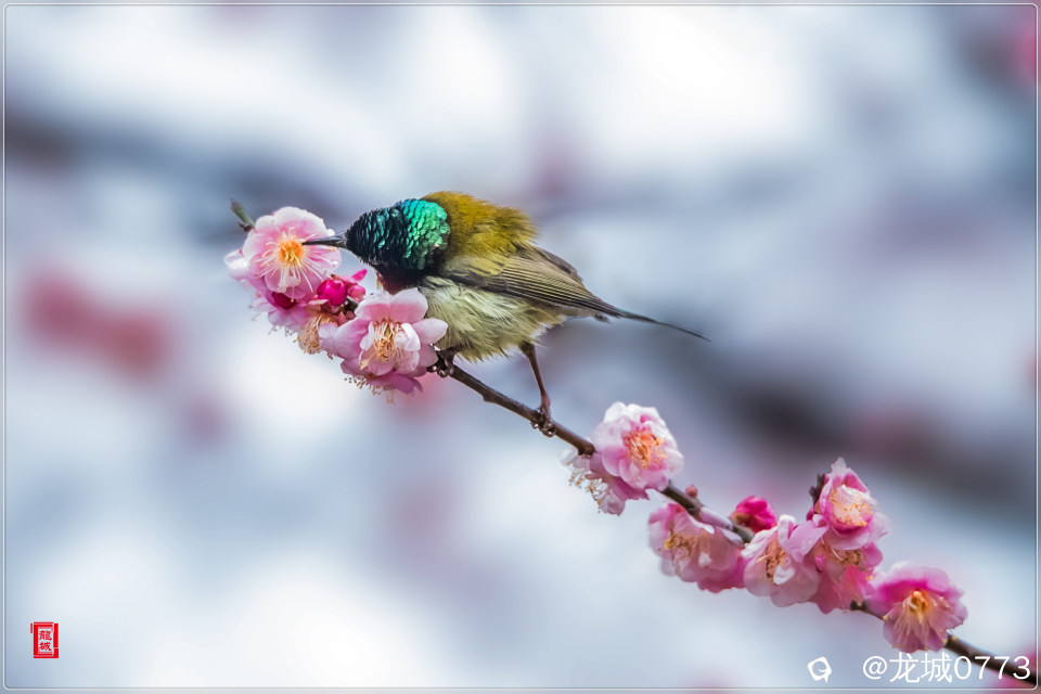 BG9I0834_副本.jpg