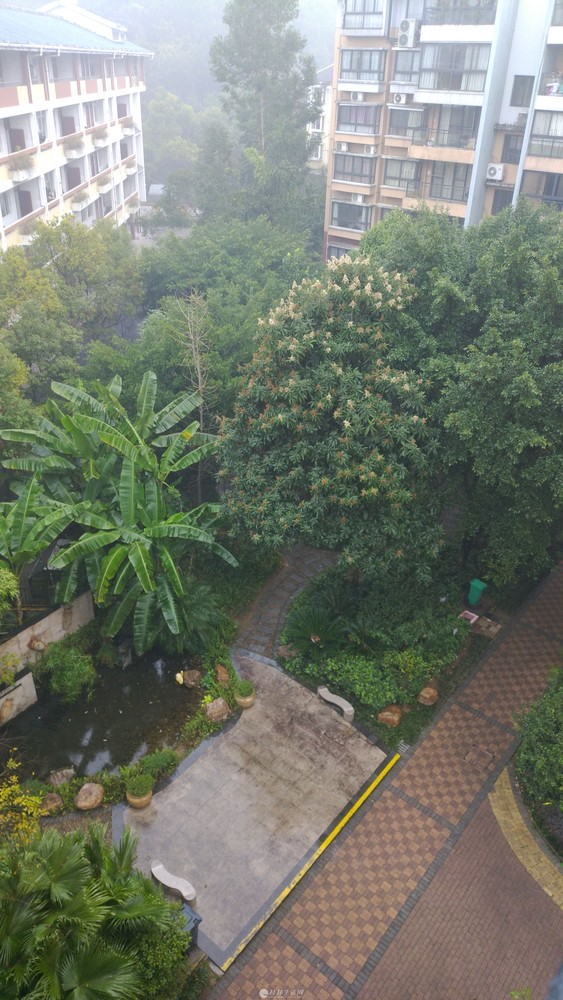 ���޼��ո�ʽ¥��3¶̨��2��̨��99��