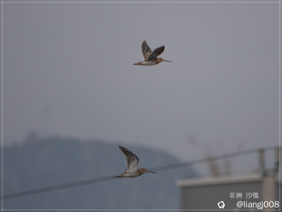 DSC05729_副本.jpg