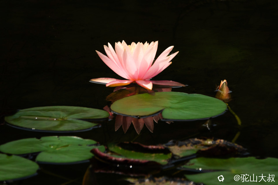 DSC03305-0.jpg