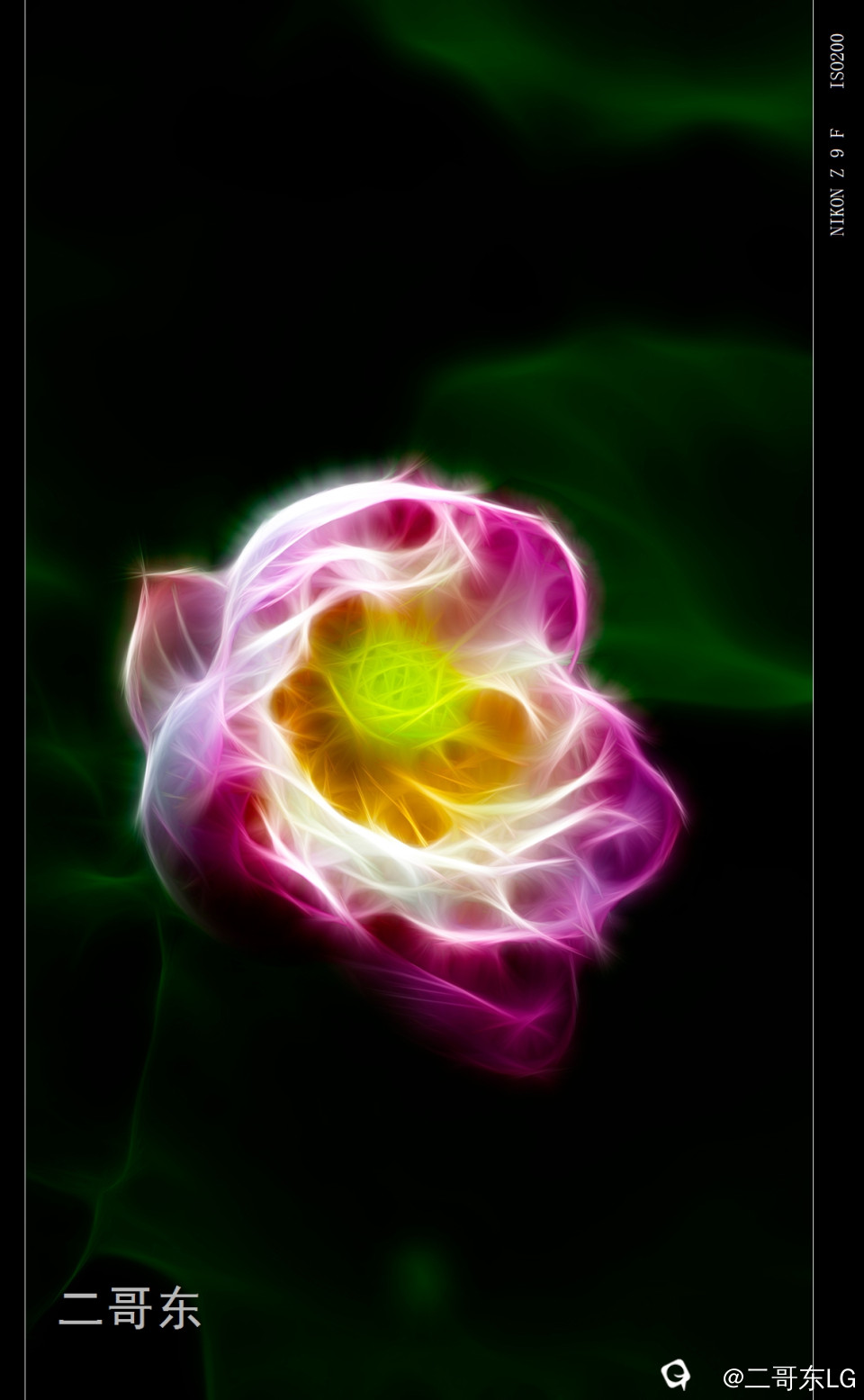 X (6).jpg