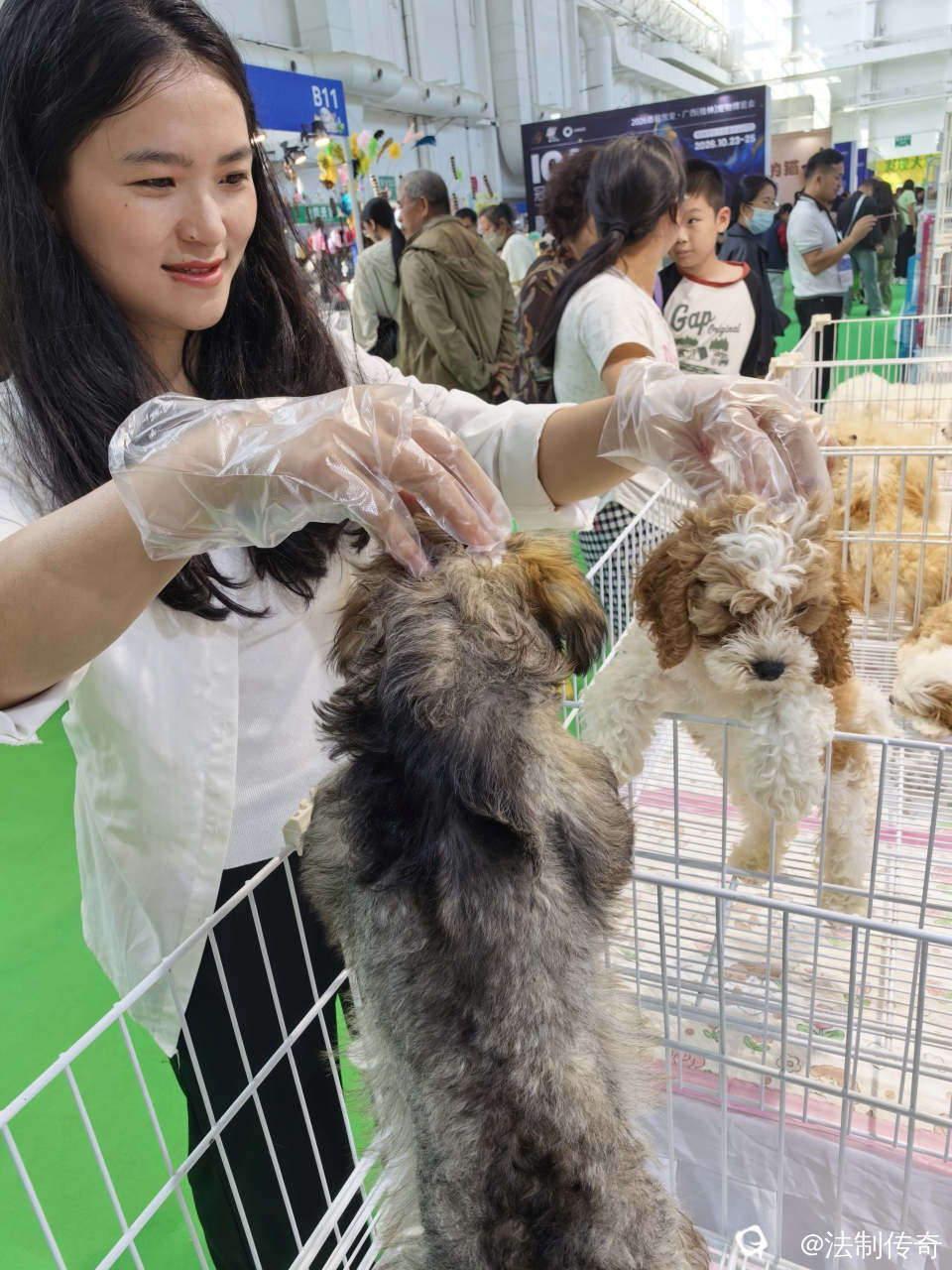 79db3481-3484-d3e0-1ee2-c25c6f87fcb5.jpg