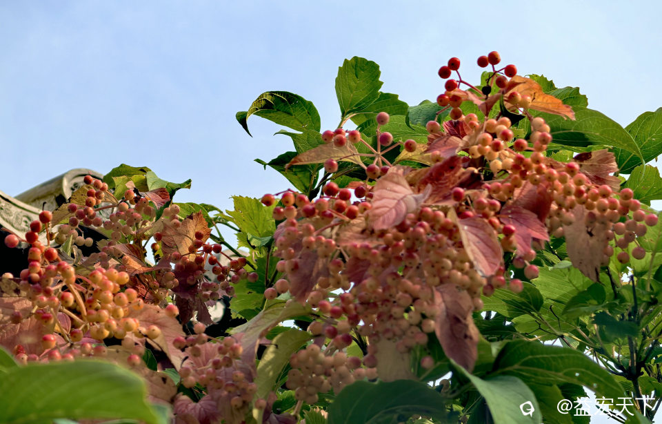 IMG_20260916_144957.jpg