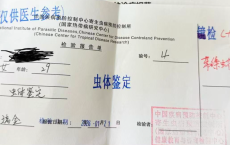 女子拉出6米长虫，竟是因为这种美食&hellip;&hellip;很多桂林人也爱吃