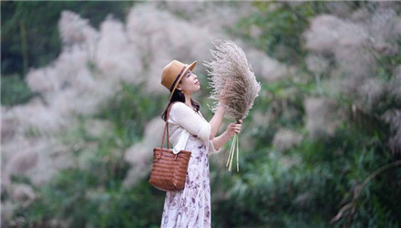 桂林秋日頂配浪漫｜蘆葦花海