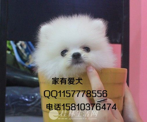 ��������Ǯ  �����������ض���   ����������